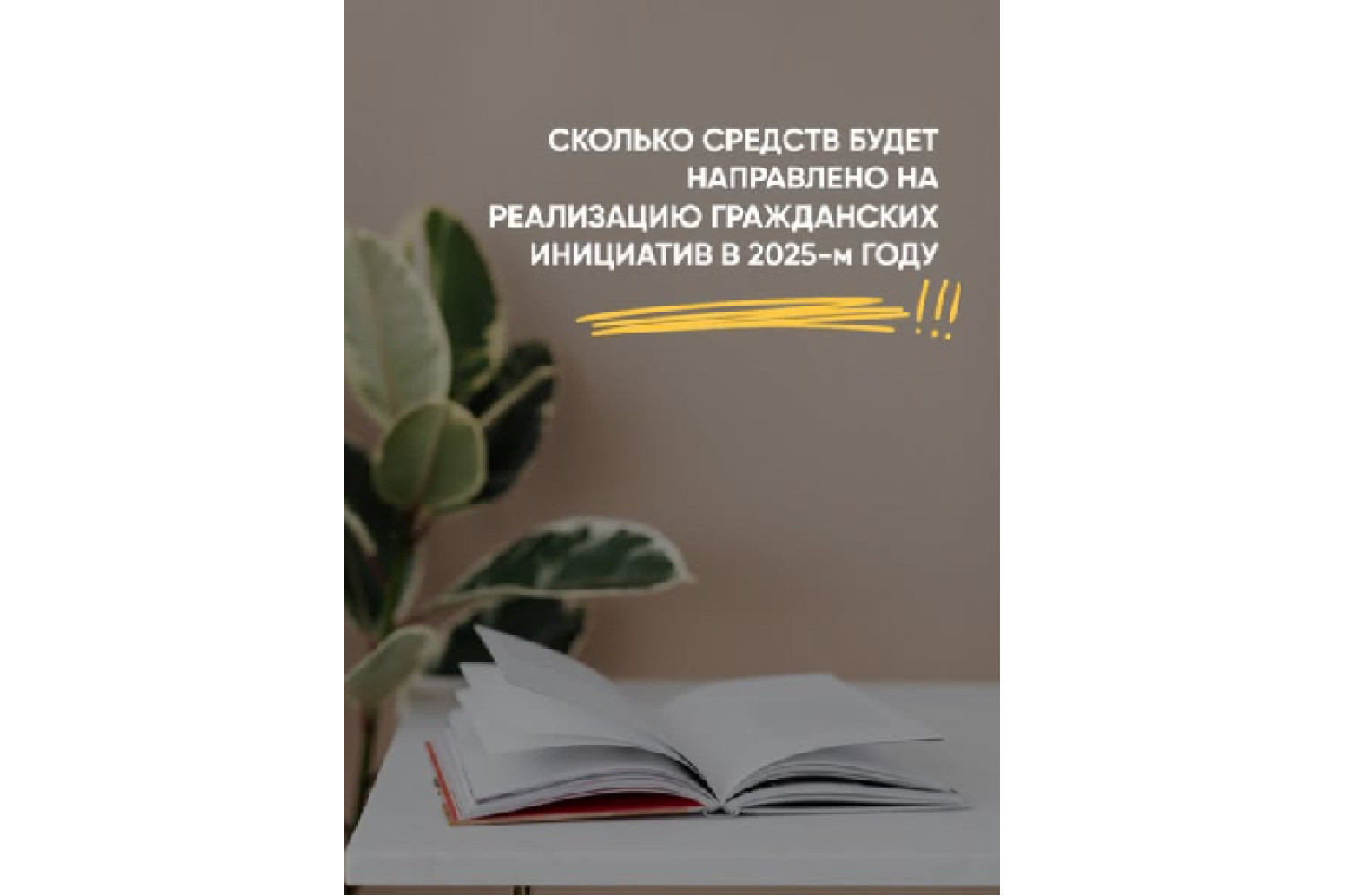Сколько средств будет направлено на реализацию гражданских инициатив в 2025